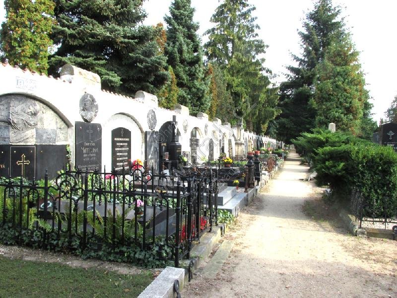 hřbitov