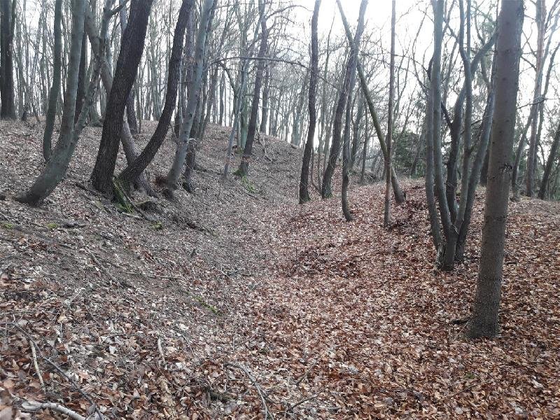 Hřivice