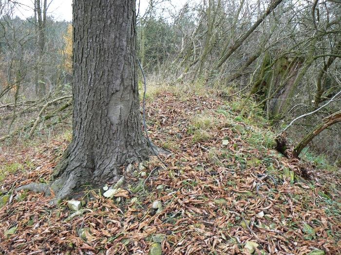 Humniště