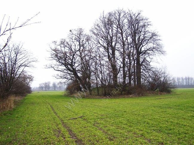 Hustopeče nad Bečvou