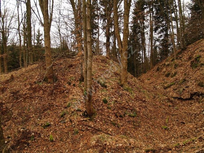 Huzová