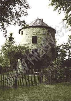 Janov