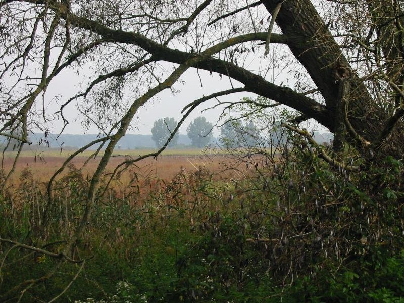 Jarohněvice