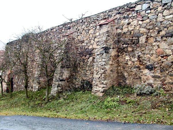 Jasenice