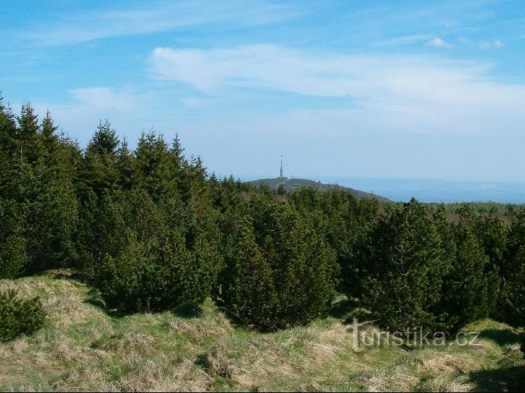 Jedlová: Pohled od Lesné