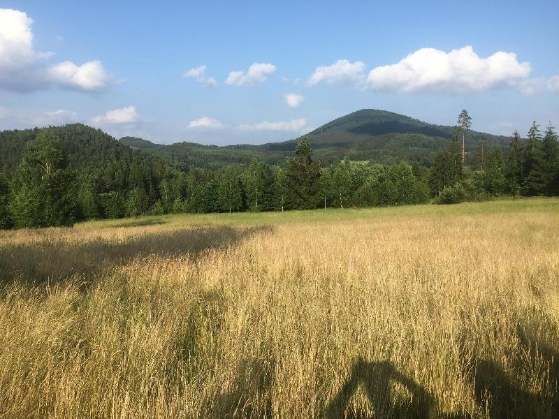 Jezevčí vrch