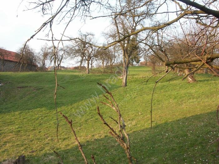 Jinošov