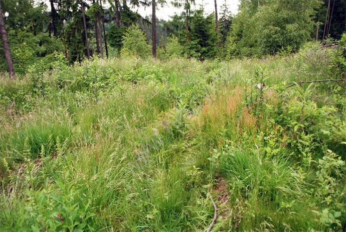 Kager, Starý zámek