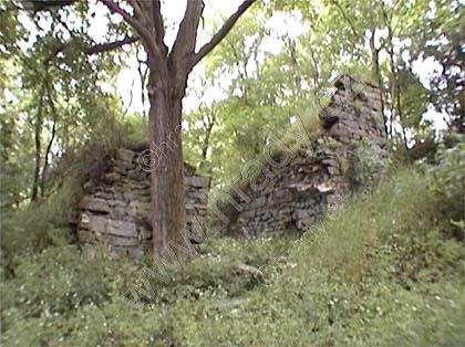 Kalich