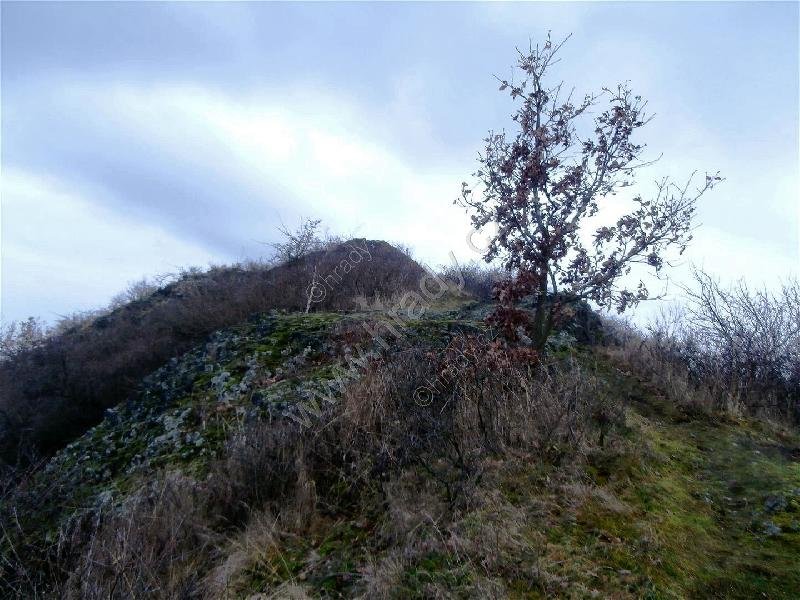 Kamýk