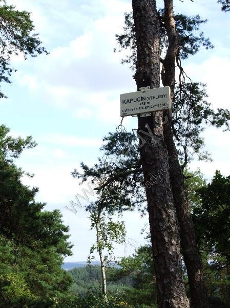 Kapucín