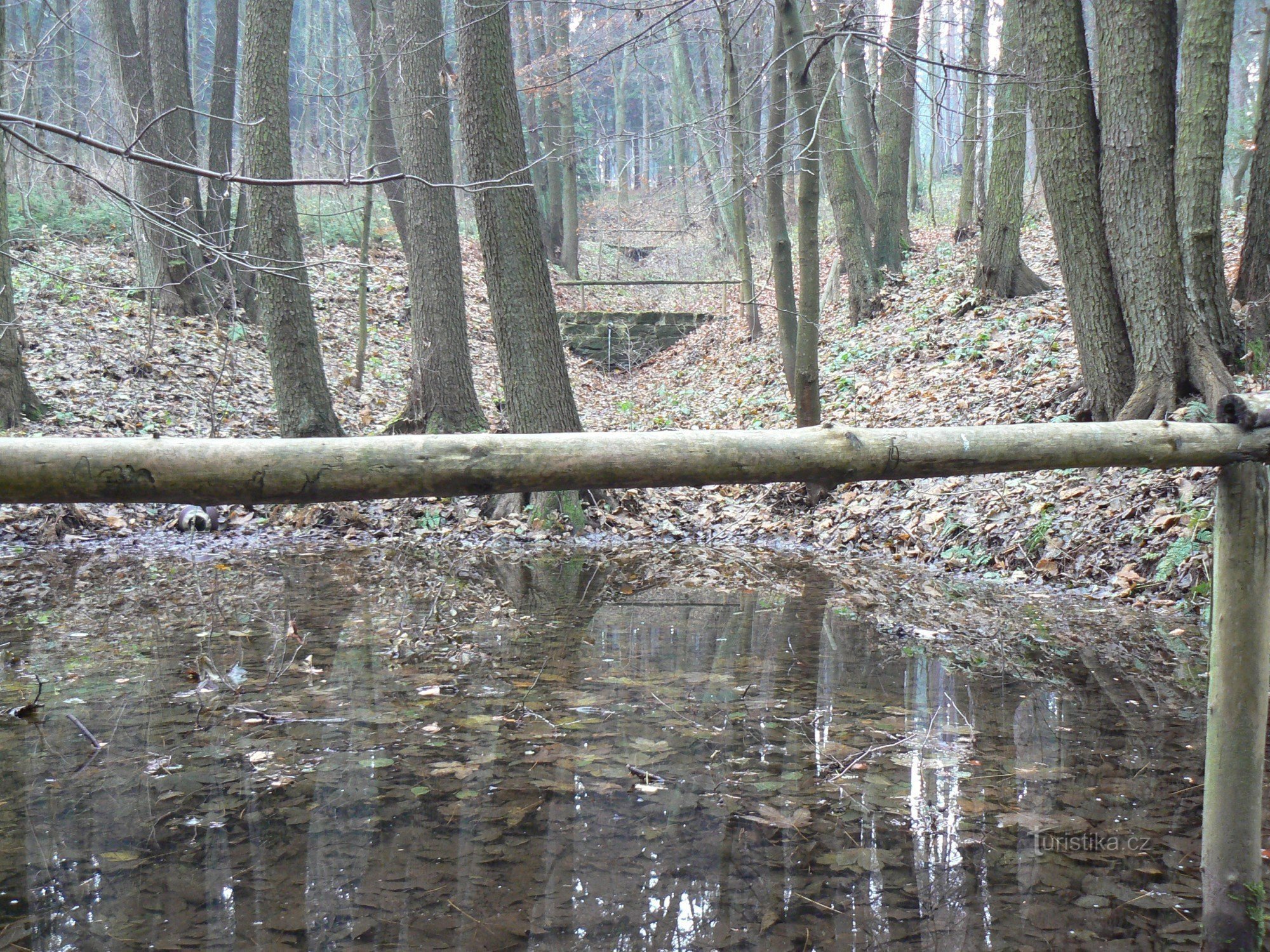 Kaskádovité rybníčky