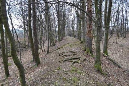 keltské oppidum u Nasavrk