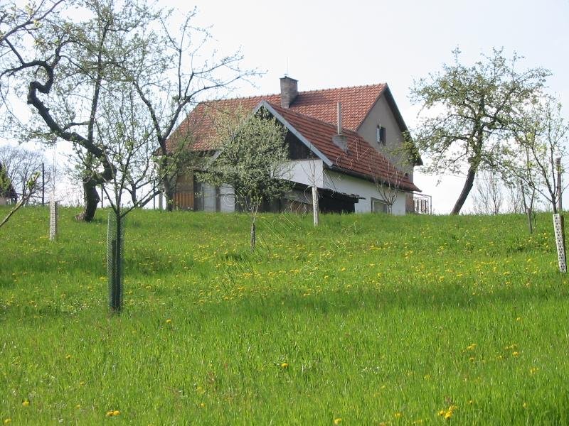 Kladeruby