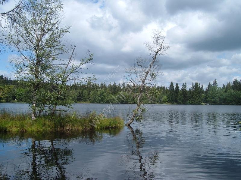 Kladský rybník