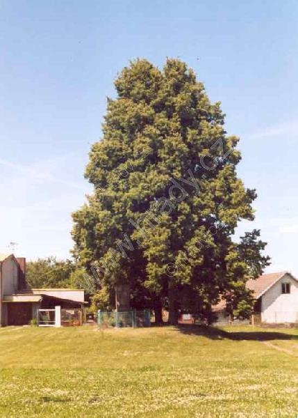 Klamoš