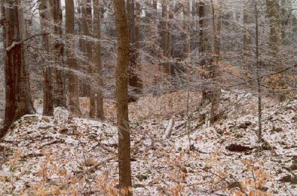 klášter benediktinů s kostelem sv. Jana Křtitele