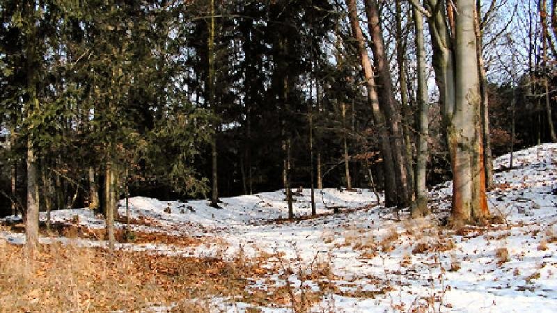 Klepačov