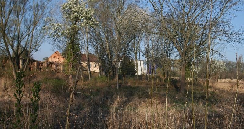 Klučov