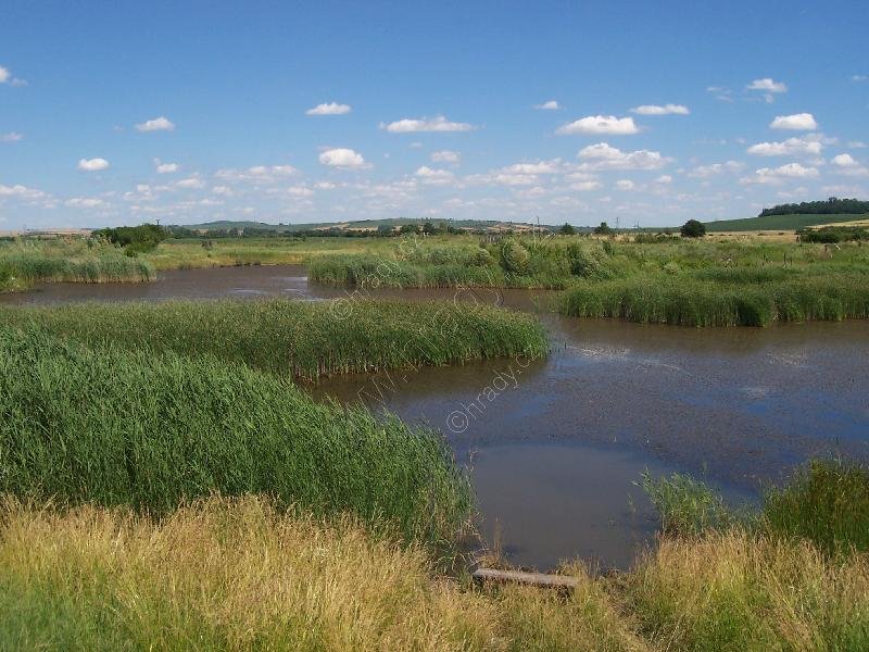 Kobylské jezero