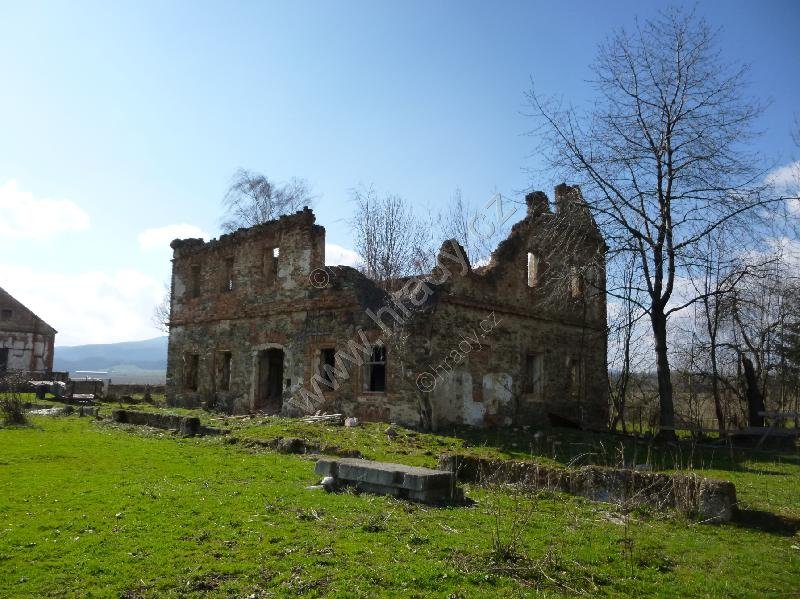 Kohout