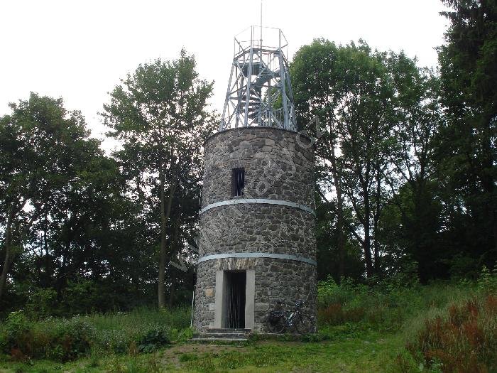 Kohout