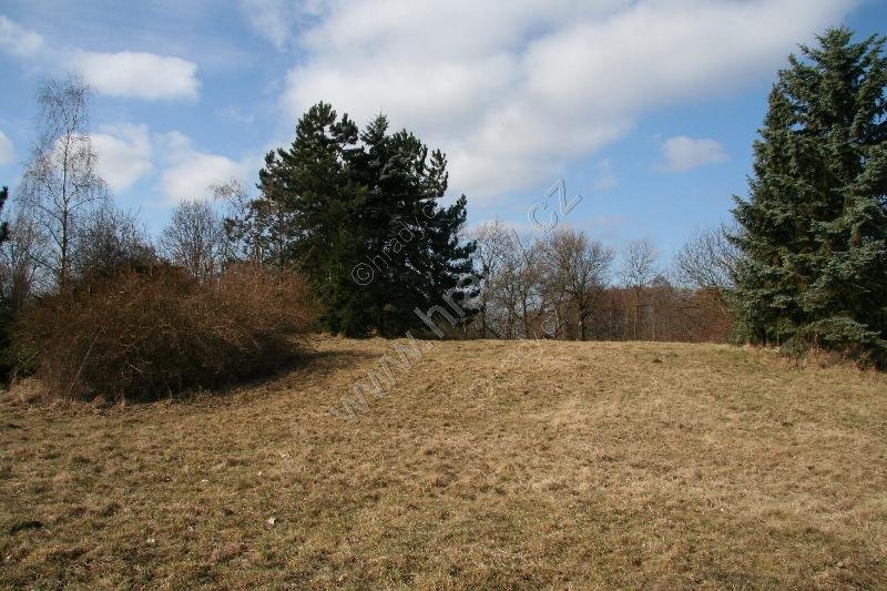 Kojice