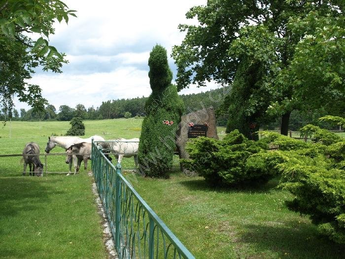 koncentrační tábor