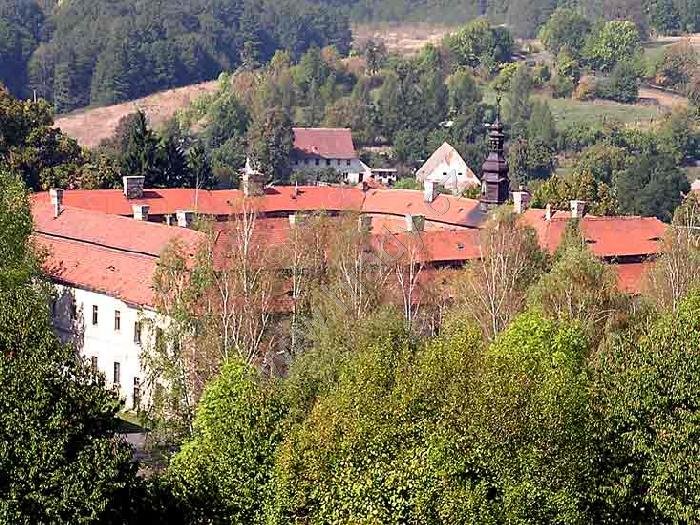 Konojedy