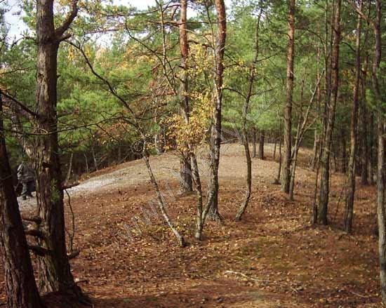 Konvalinkový vrch