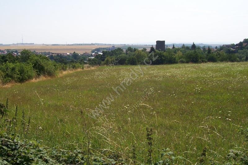 Kopaniny