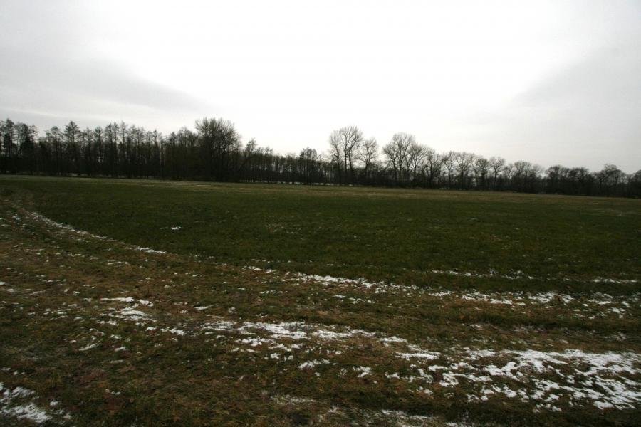 Koprník