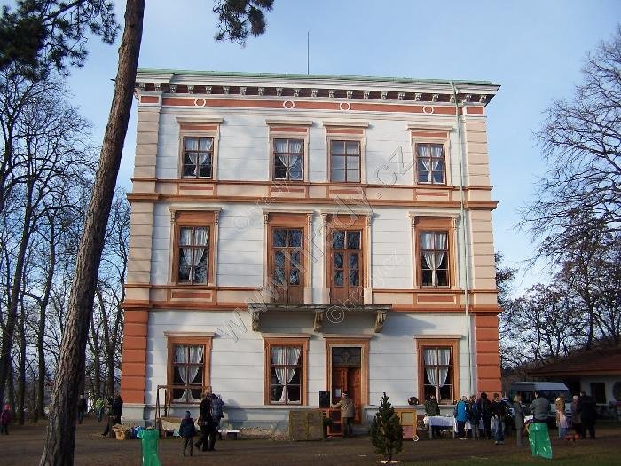 Korozluky