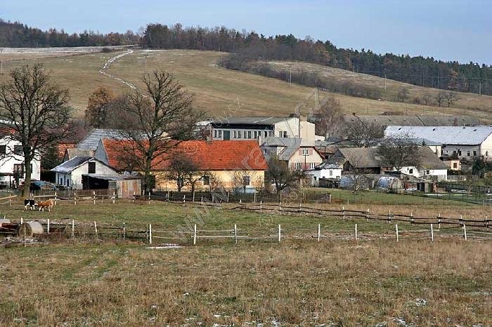 Koryta