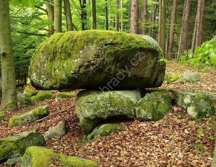 Kosatínský viklan