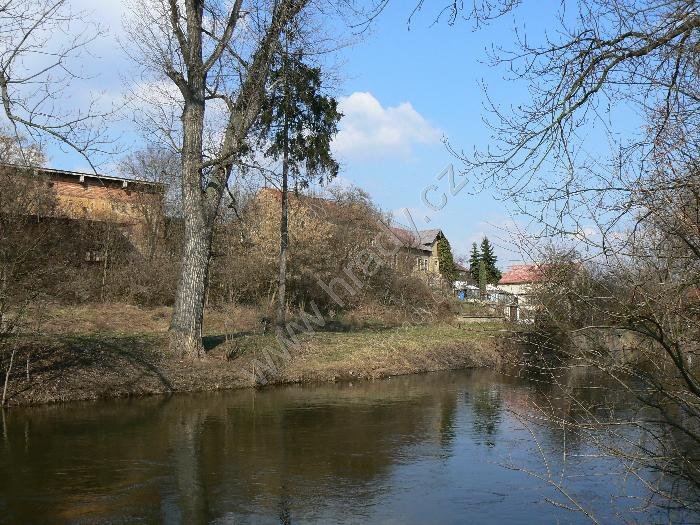 Koštice