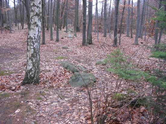 Kounovské kamenné řady