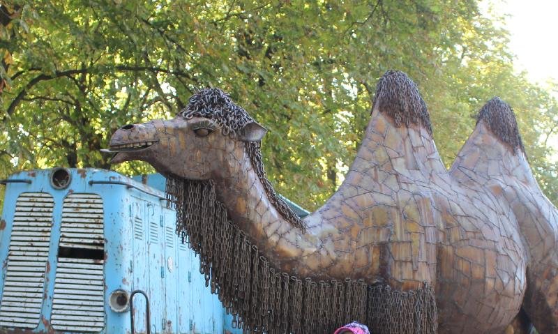Kovozoo