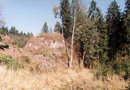 Kožlí