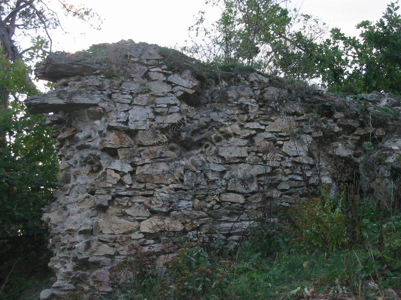 Kozlov