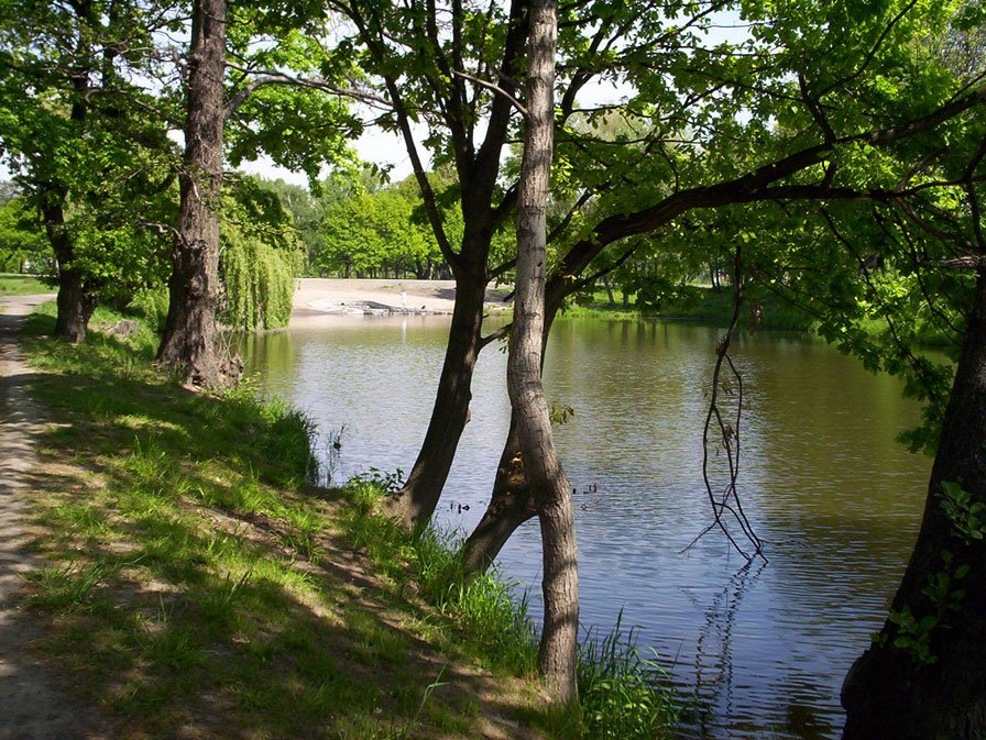 Královská obora - Stromovka