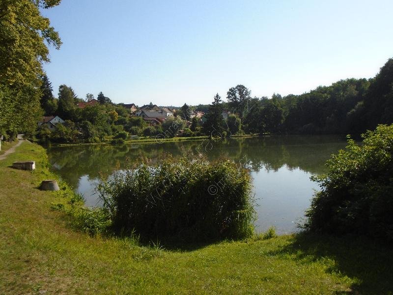 Královský rybník