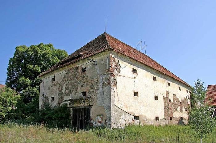 Křenice