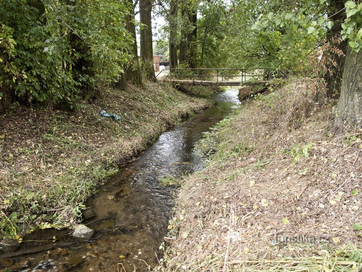 Krenišovský náhon