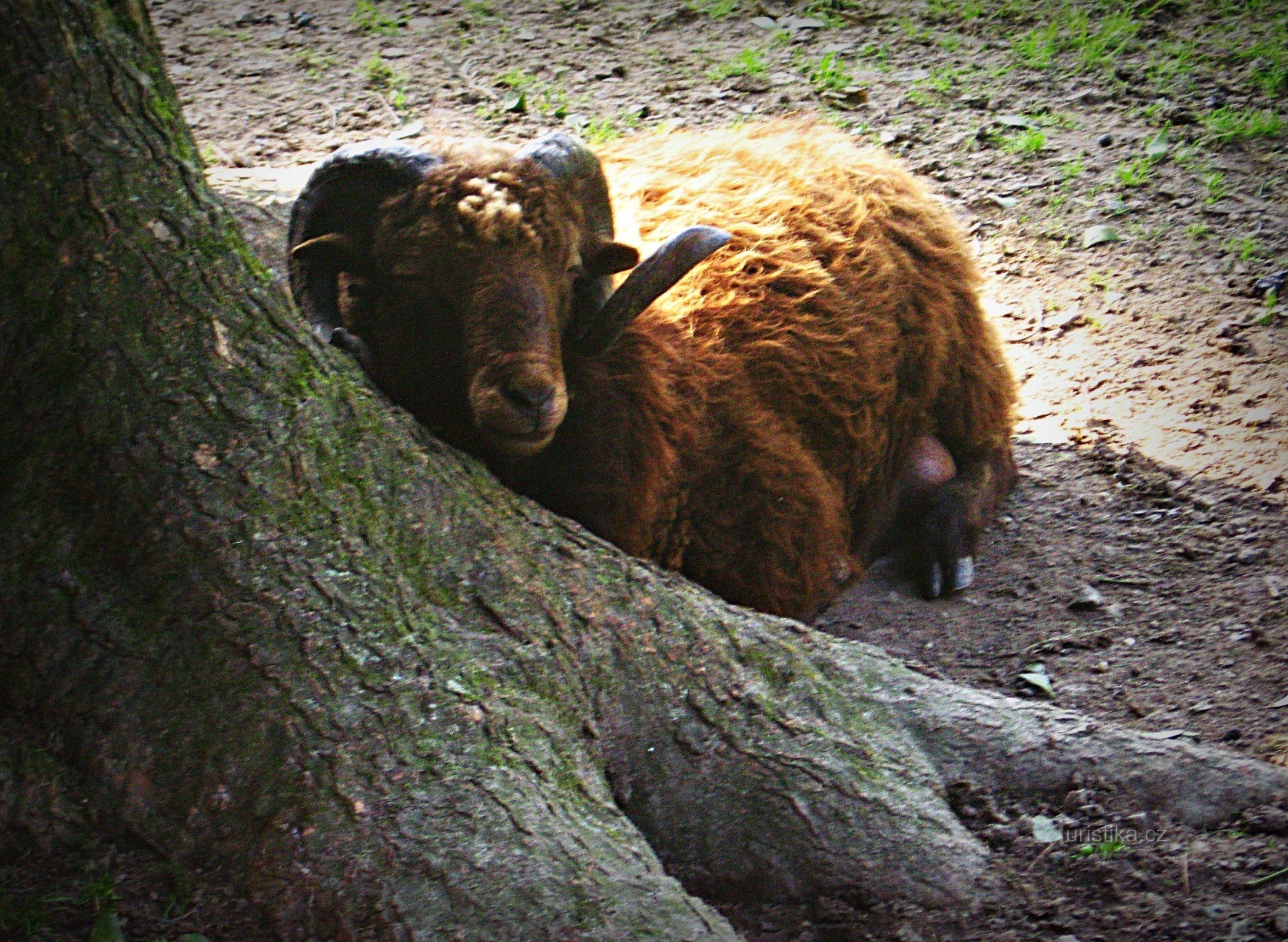 Kroměříž - Podzámecká zahrada
