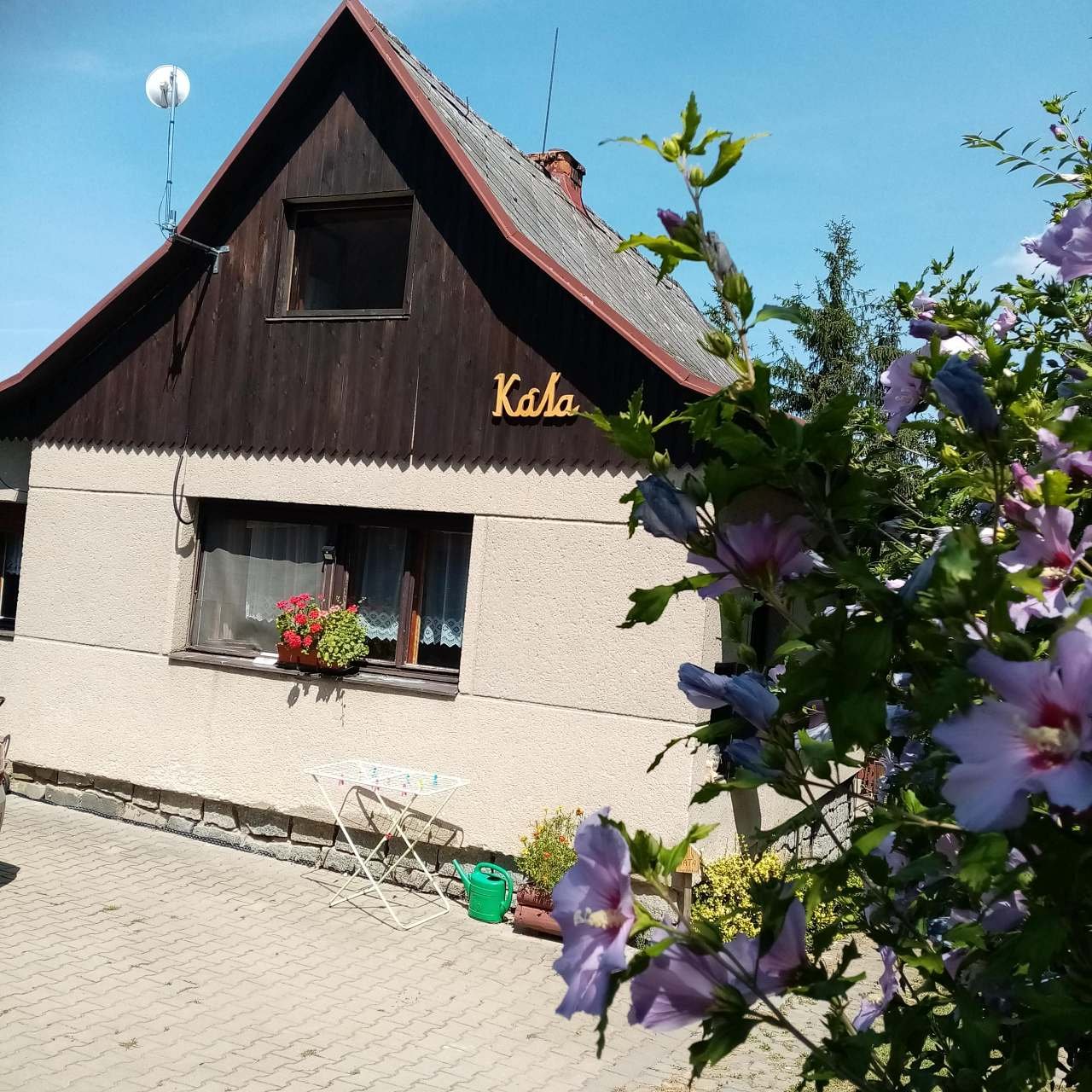 květ v sezoně