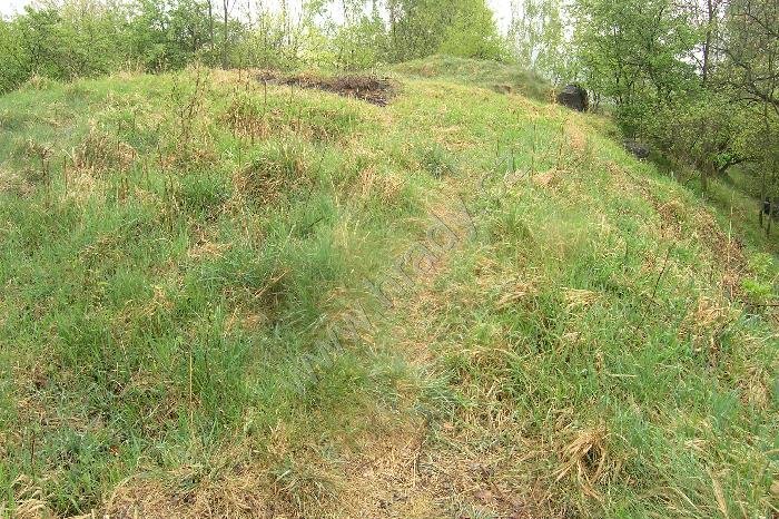 Květnová