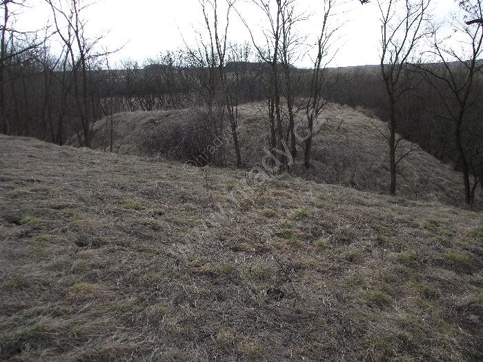 Ledvice (Vémyslice)