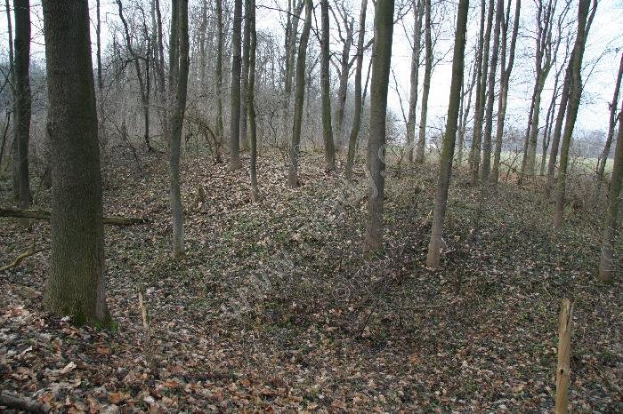 Lepějovice