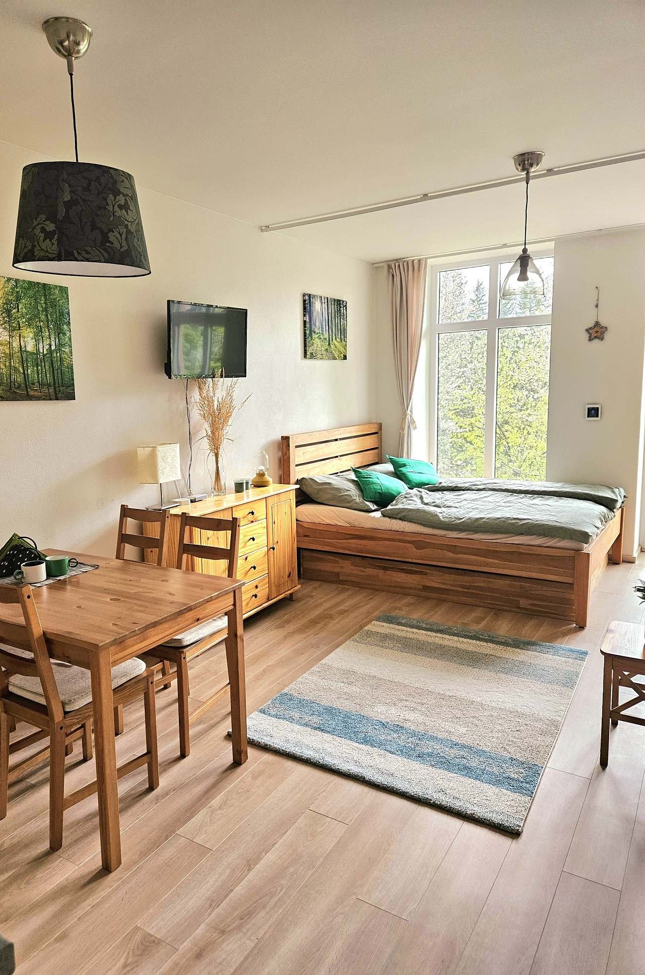 Lesní apartmán Hamry